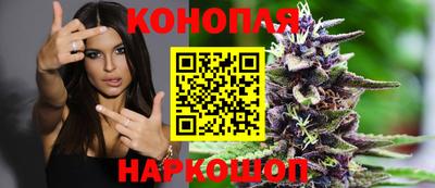 мдпв Белореченск