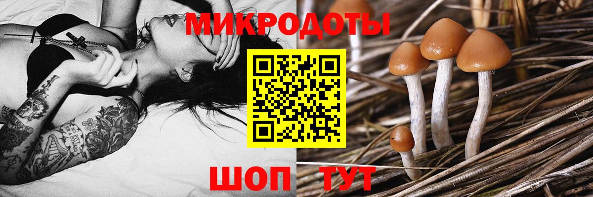 Галлюциногенные грибы Magic Shrooms Узловая